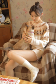 龙珠z日语